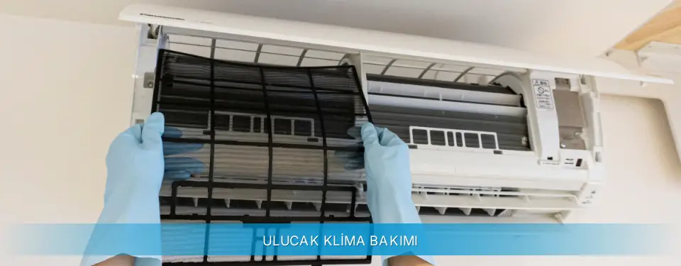 Ulucak İlçemi Gree Klima Bakımı